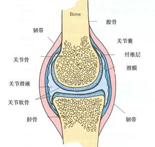 郑州痛风风湿病中西医结合医院治疗滑膜炎的费用是多少