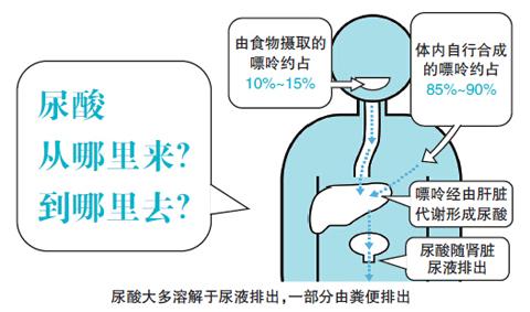 郑州痛风风湿病医院介绍尿素高不能吃的食物