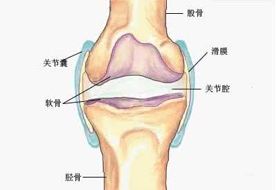 老年人得了大腿滑膜炎怎么办?郑州痛风风湿病医院专家讲解