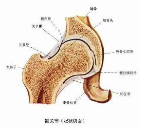 胯骨处的滑膜炎是不是很严重?会致残吗?