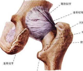 髋关节滑膜炎患者饮食上要注意哪些?