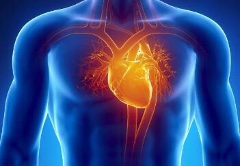 强直性脊柱炎这病对心脏会不会有什么影响？