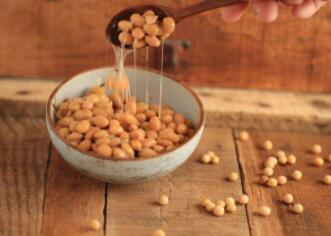 多吃纳豆可能会惹来痛风，但是纳豆的作用我们也是不能忽视的！