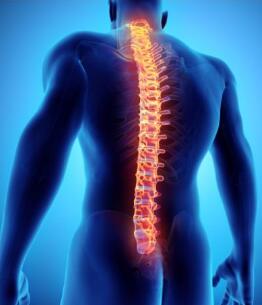 究竟不常提起的强直性脊柱炎是一种什么样的疾病？