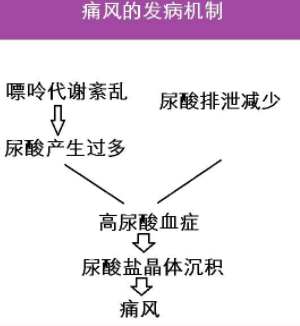 谨防高尿酸!国人已患上的“第四高”