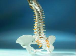 郑州治疗强直性脊柱炎医院介绍强直性脊柱炎是如何破坏我们的身体的?