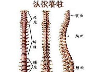 强直遗传有哪些特点?预防强直遗传的措施有哪些?