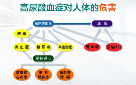 郑州治疗高尿酸血症医院讲述尿酸过高的危害有哪两点？